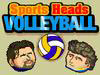 Спортивные головы: Волейбол