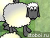 Овцы - проверка реакции
